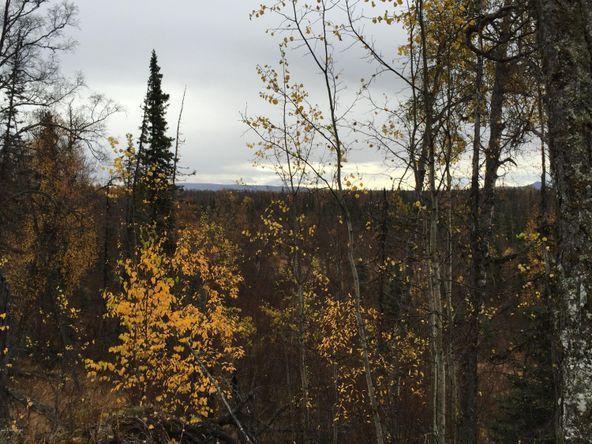 63885 Tailwind Rd, Ninilchik, AK 99639